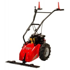 benzinine sienapjove f170 b 01