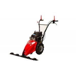 benzinine sienapjove f1900 01