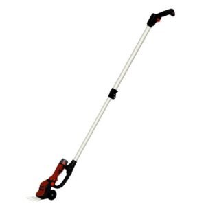 blue bird ep 22 110 prailginimo kotas 01