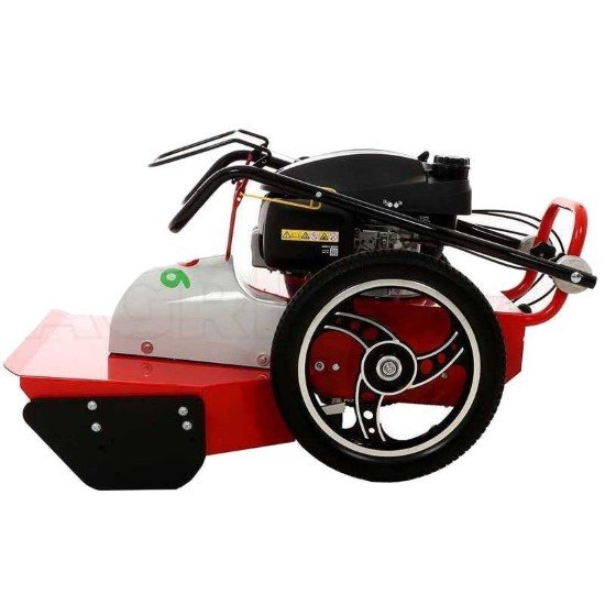 blue bird flo 6 lc benzinine sienapjove 08