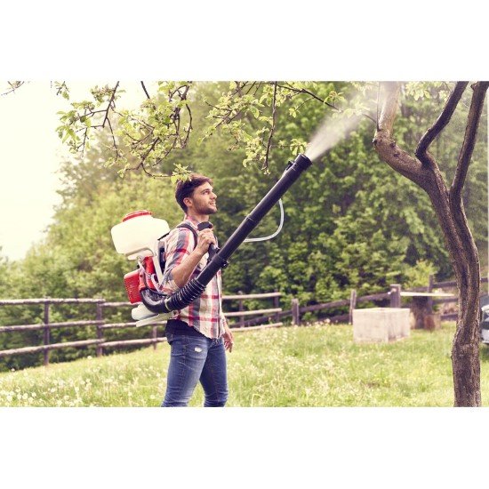 blue bird hd 601 dvitaktis purkstuvas 03