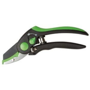 freund victoria sekatorius 3290 01