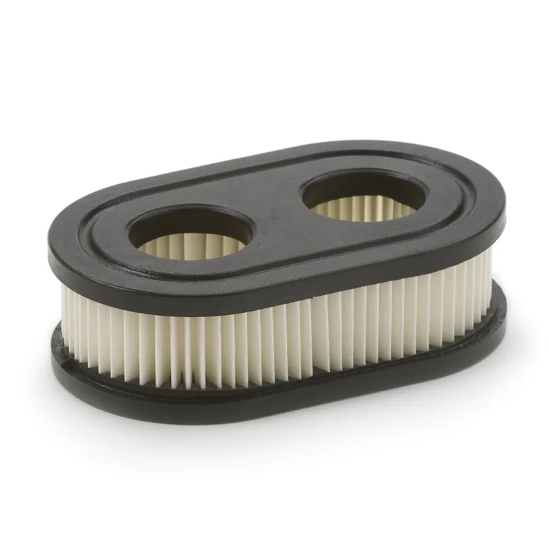 Oro filtras B&S 550e-550ex serijos varikliams #798452