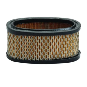 Oro filtras Briggs and Stratton 11 Ag varikliams (#393725)