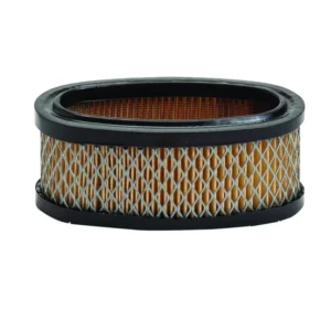 Oro filtras Briggs and Stratton 8 Ag varikliams (#393406)
