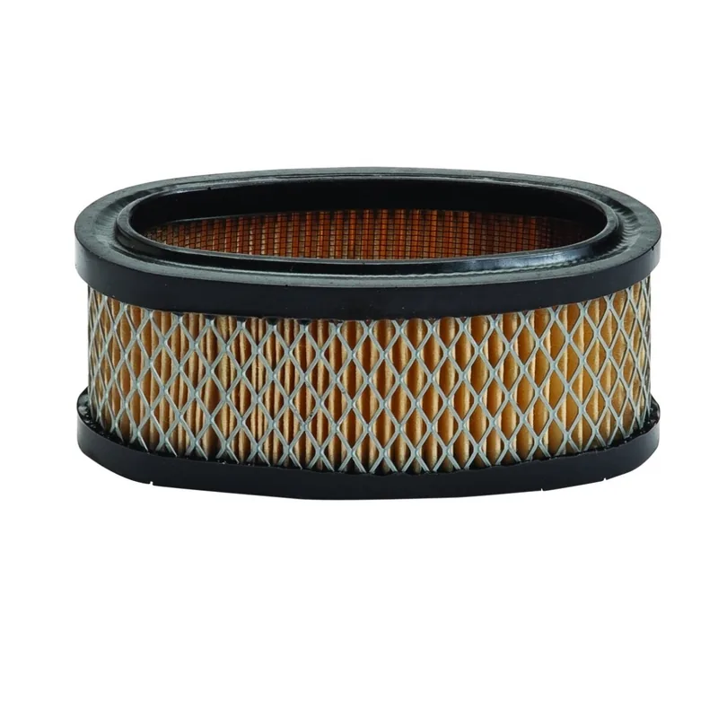 Oro filtras Briggs and Stratton 8 Ag varikliams (#393406)