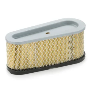 Oro filtras Briggs & Stratton #493909
