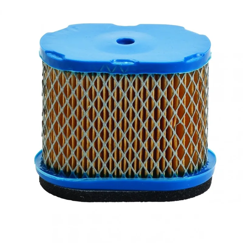 Oro filtras Briggs & Stratton 5.5, 6.5 Ag Intek Pro varikliams #690610