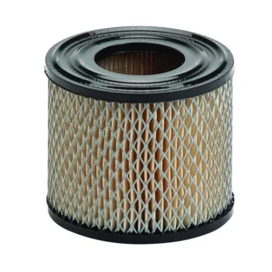 Oro filtras Briggs & Stratton varikliams #393957, #390930
