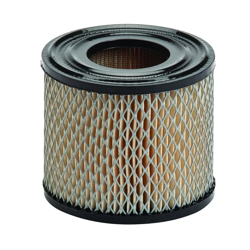 Oro filtras Briggs & Stratton varikliams #393957, #390930